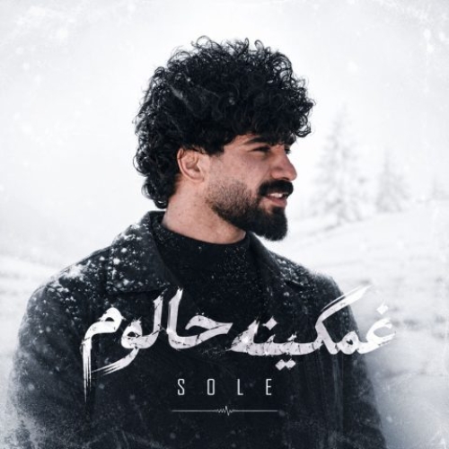سله