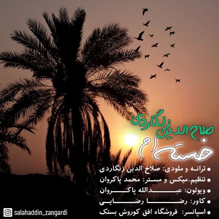 صلاح الدین زنگاردی