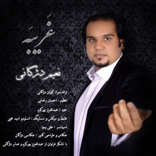 نعیم دژگانی