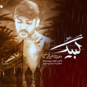 امیر پوستچی