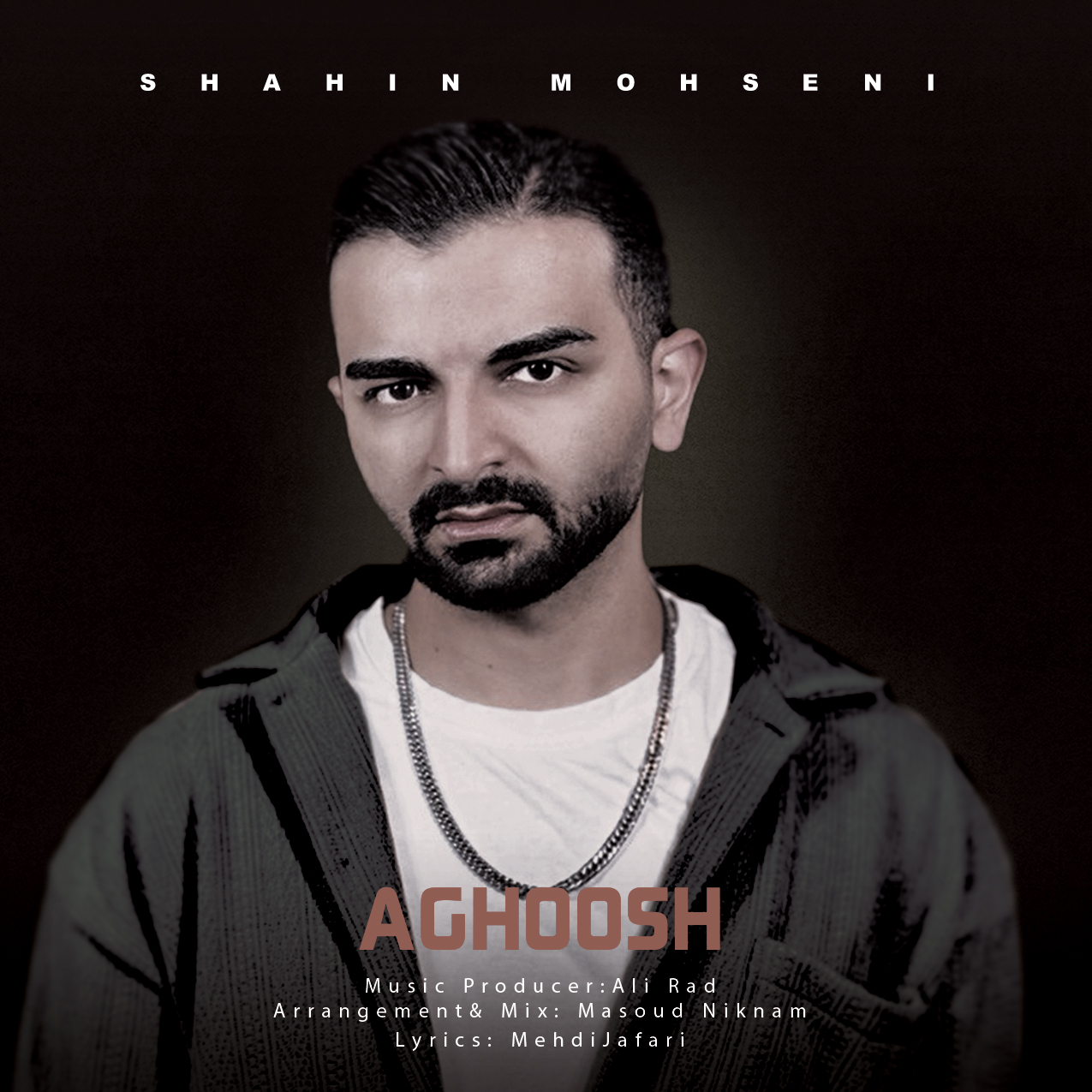 شاهین محسنی