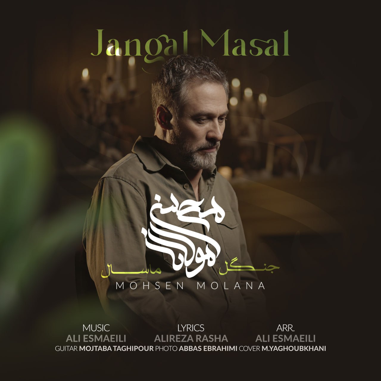 محسن مولانا