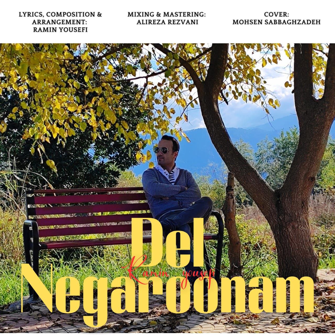 رامین یوسفی