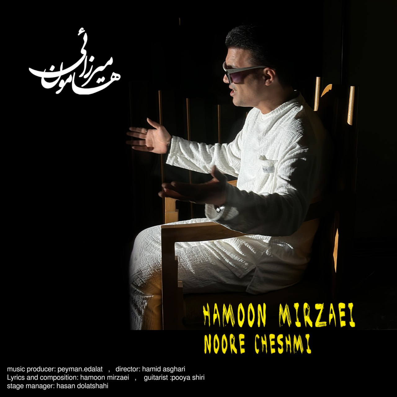 هامون میرزایی