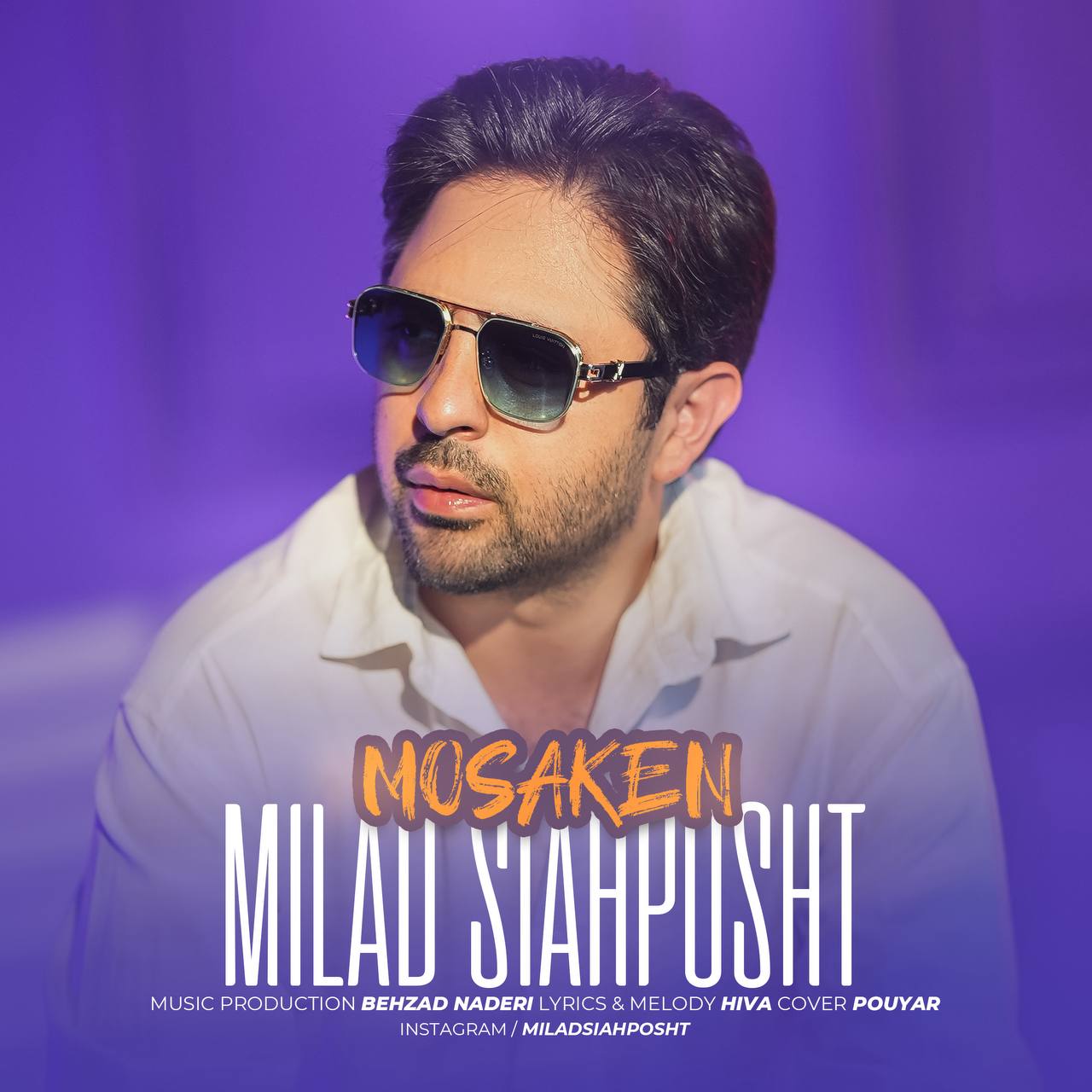 میلاد سیاه پشت