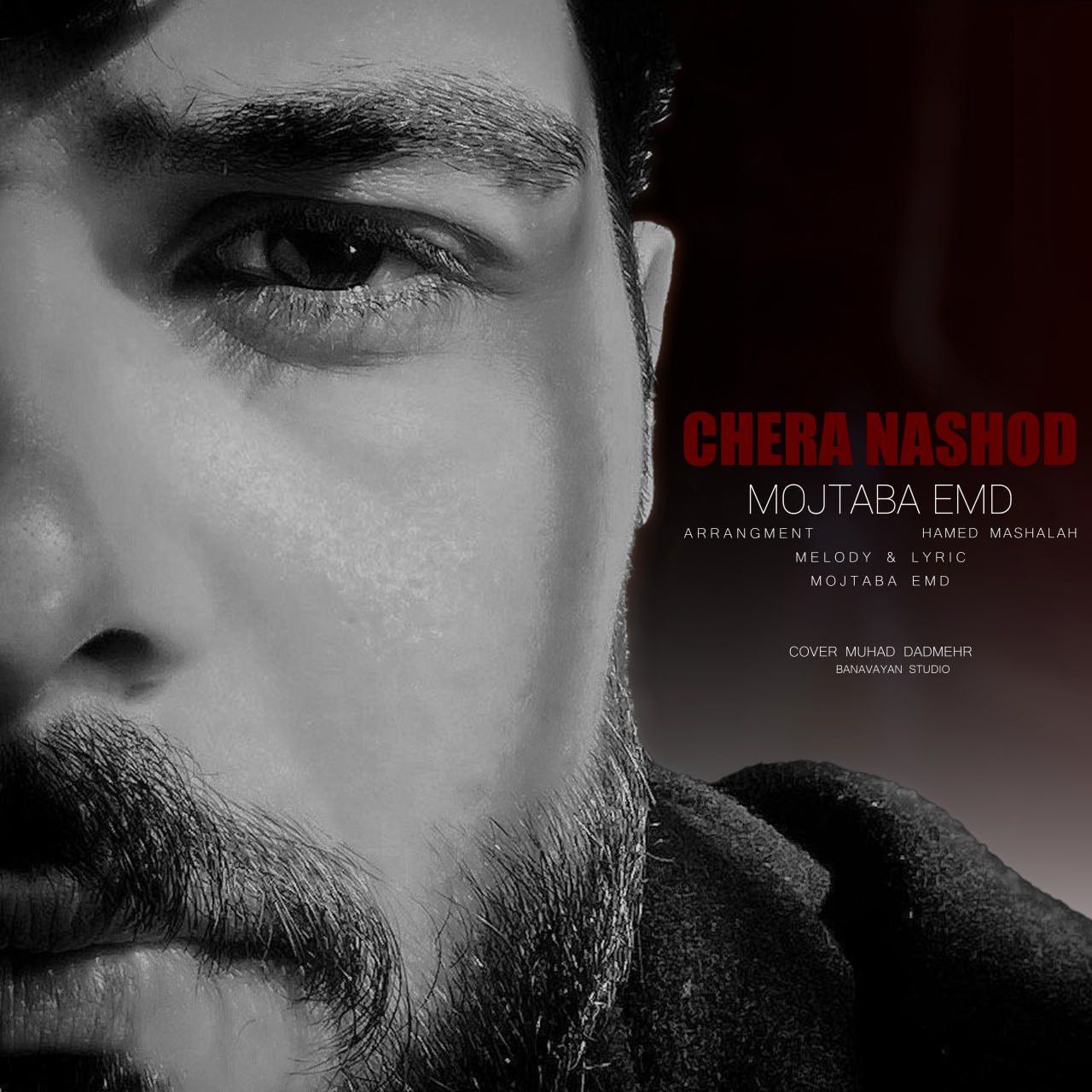 مجتبی ای ام دی