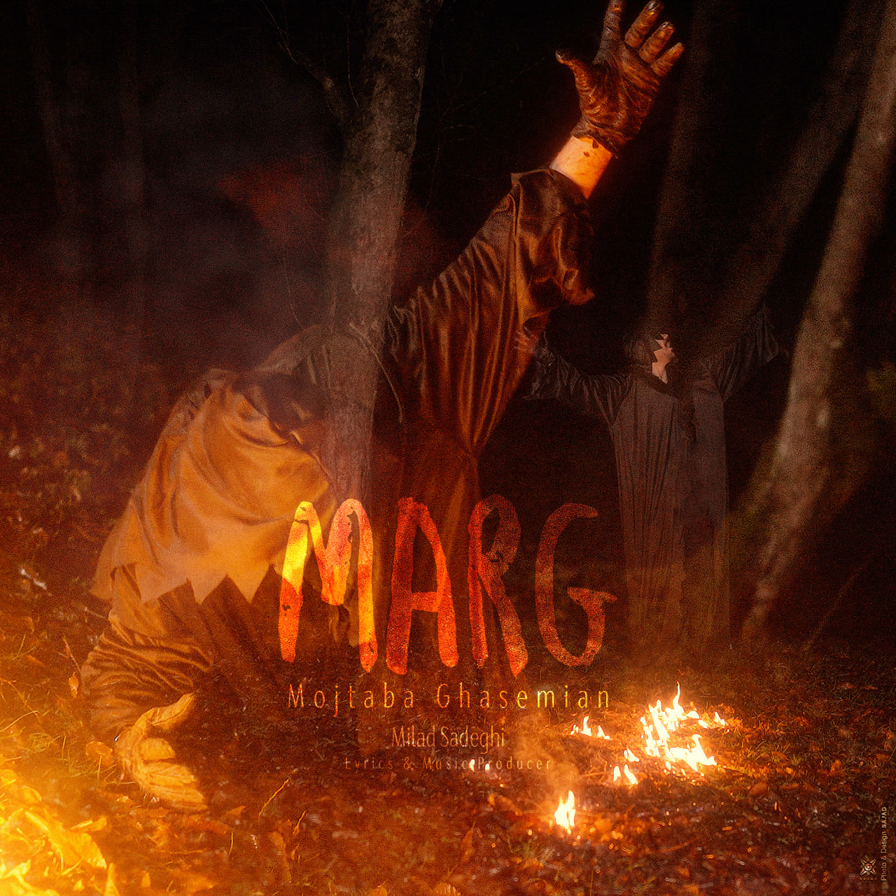 مجتبی قاسمیان