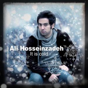   علی حسین زاده و ارهان گولر