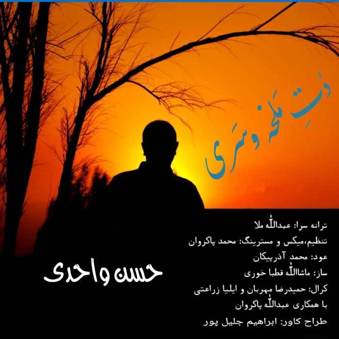 حسن واحدی