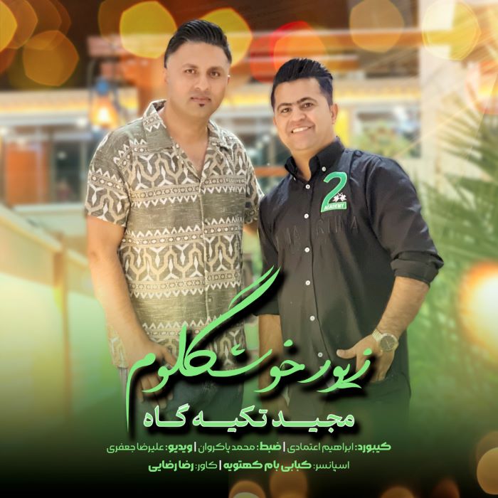 مجید تکیه گاه