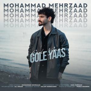   محمد مهرزاد