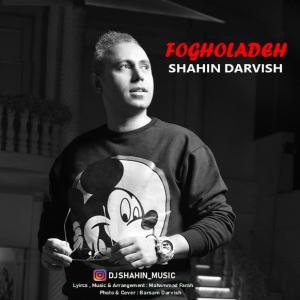   شاهین درویش