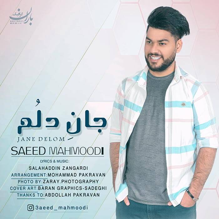 سعید محمودی