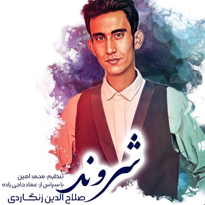 صلاح الدین زنگاردی