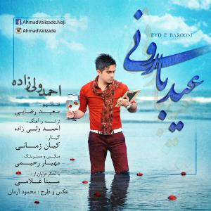 احمد ولی زاده