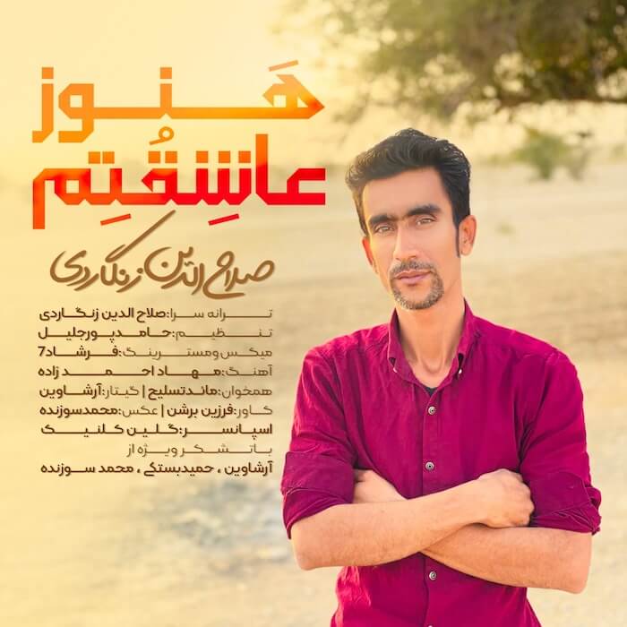 صلاح الدین زنگاردی