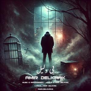   امیر دل خاک