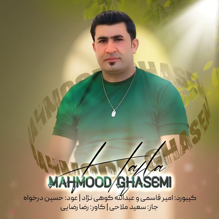 محمود قاسمی