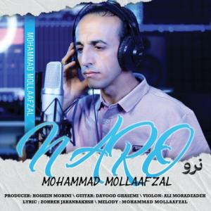 محمد ملاافضل