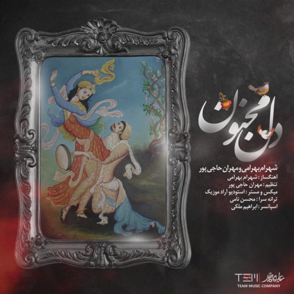 شهرام بهرامی مهران حاجی پور