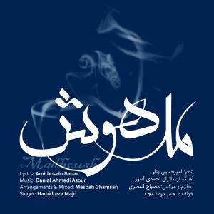   حمیدرضا مجد