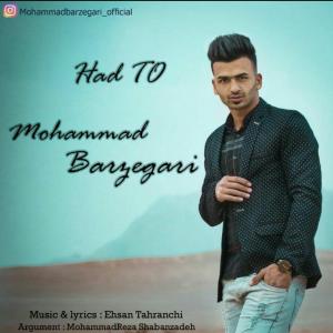   محمد برزگری