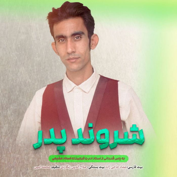 صلاح الدین زنگاردی