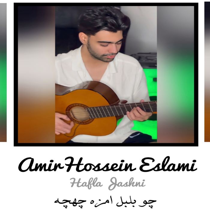 امیرحسین اسلامی