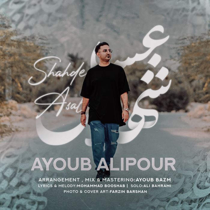 ایوب علیپور