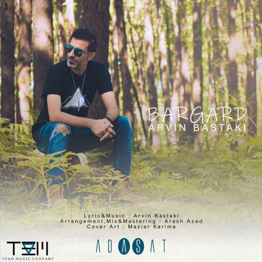 آروین بستکی