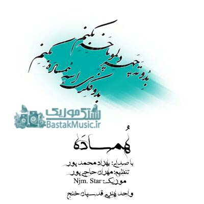 بهزاد محمد پور