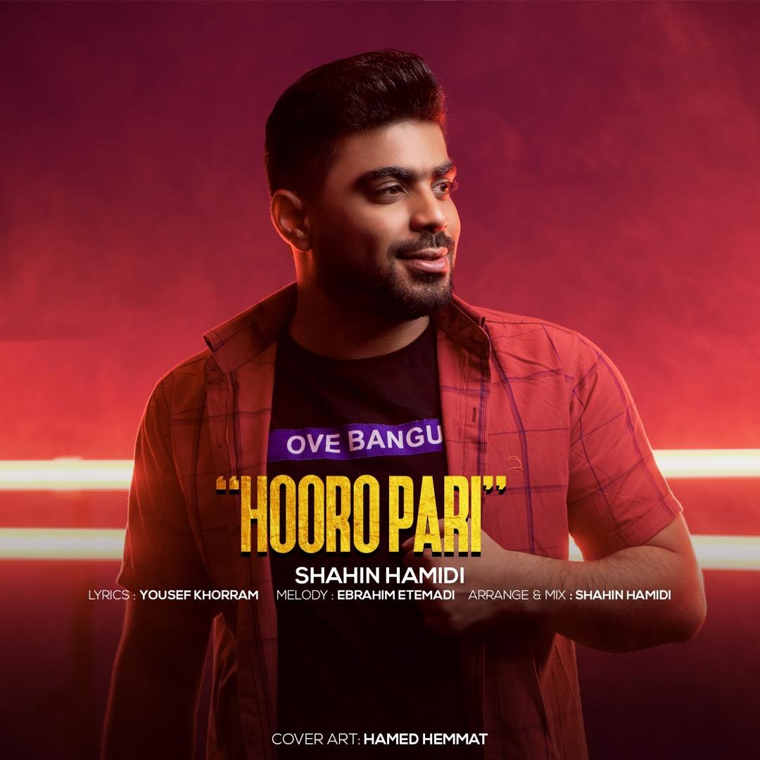 شاهین حمیدی