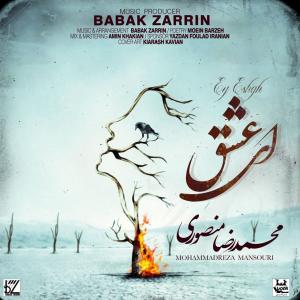 محمدرضا منصوری