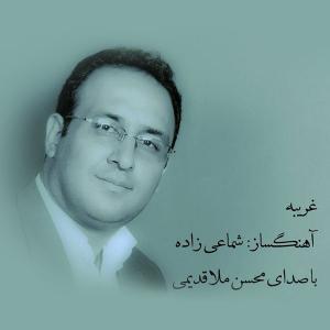   محسن ملاقدیمی