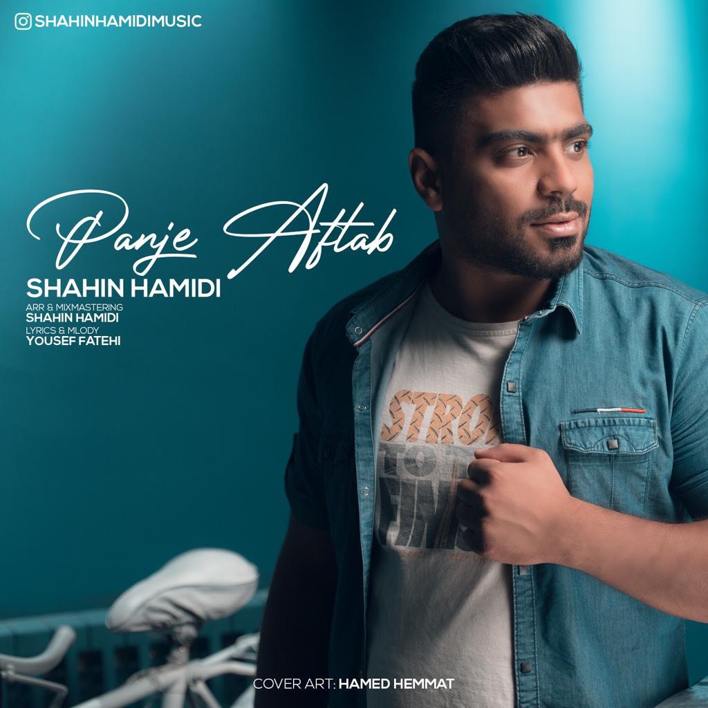 شاهین حمیدی