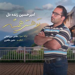   امیرحسین زنده دل