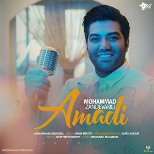   محمد زندوکیلی