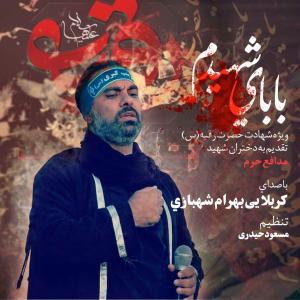   بهرام شهبازی